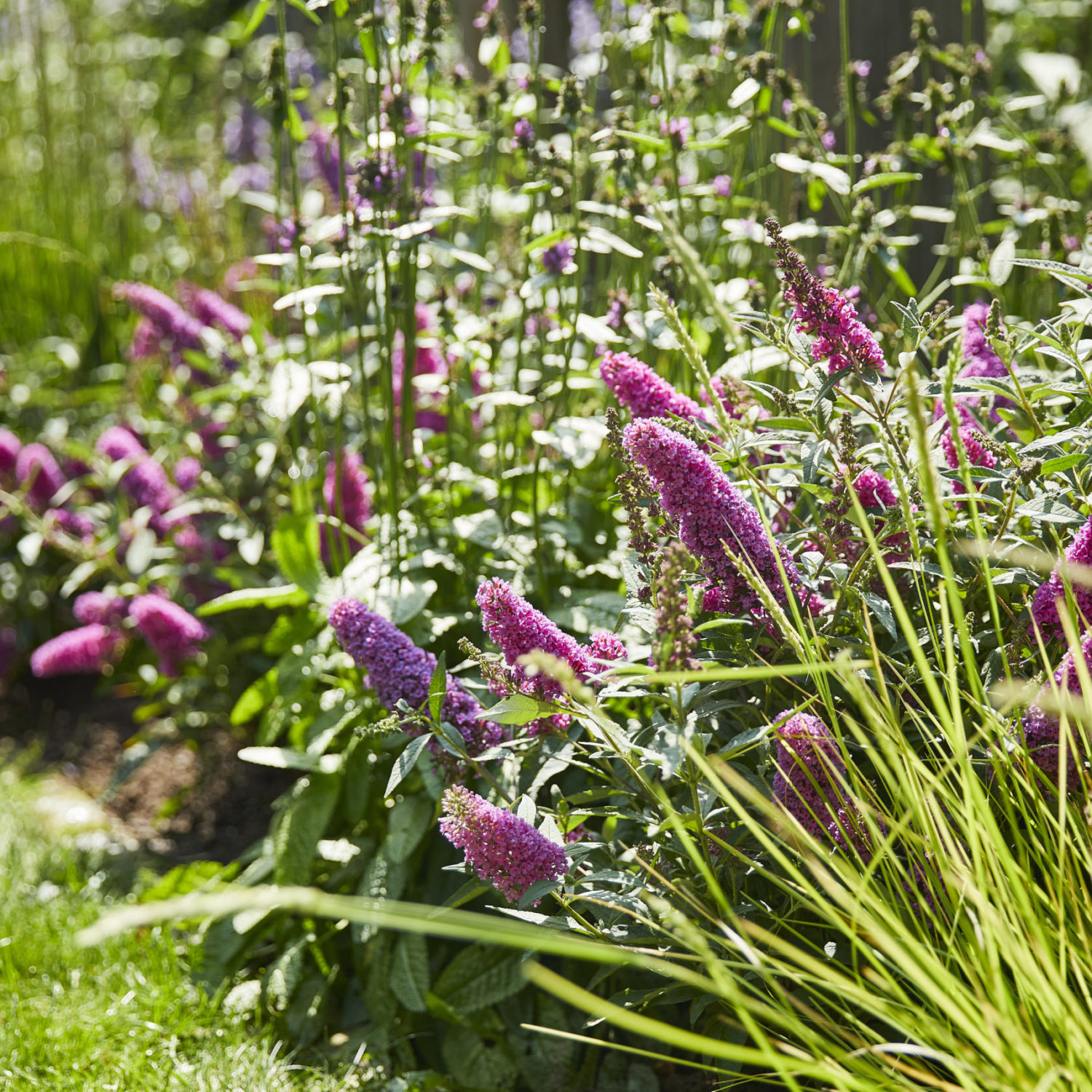 So bunt ist der Sommer